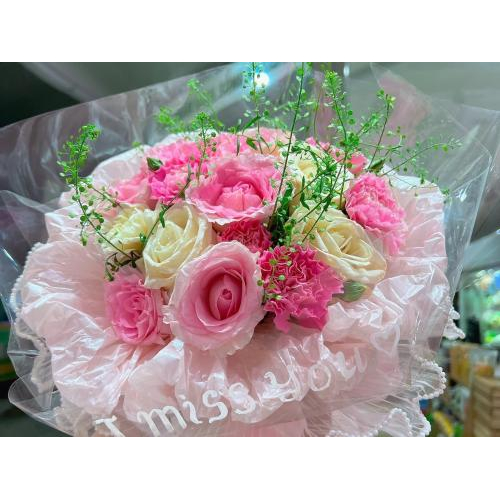 Giới thiệu về sản phẩm